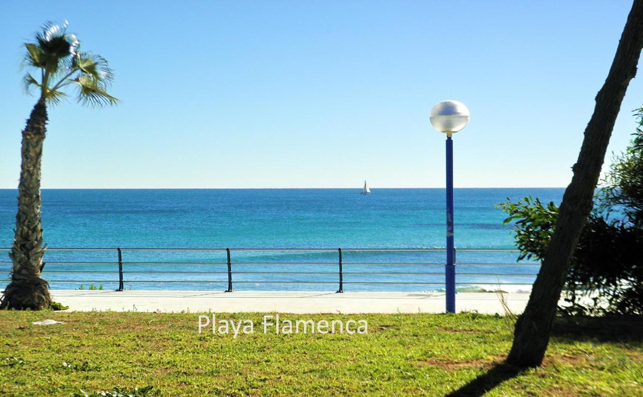 Apartment With Large Roof Solarium Dehesa de Campoamor  Экстерьер фото